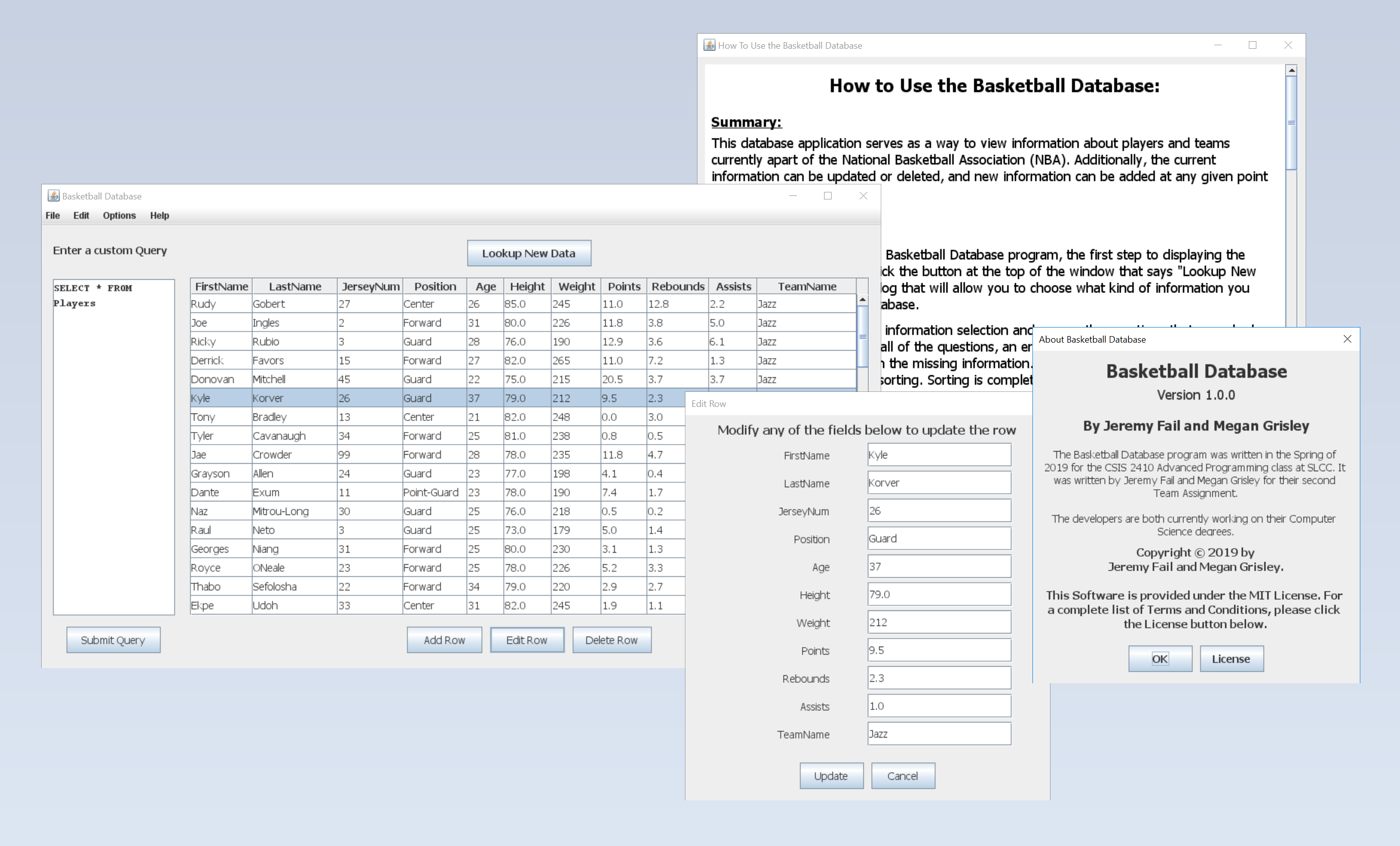 Basketball Database Screenshot